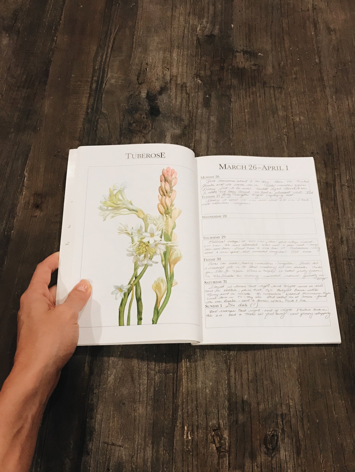 Processed with VSCO with a6 preset