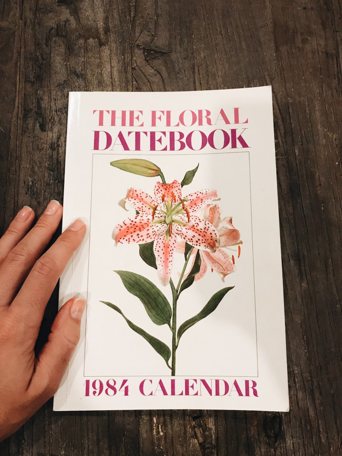 Processed with VSCO with a6 preset